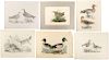 6 Ornithological Engravings, P. John Selby, 1833