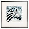 Three framed photographs of zebras.