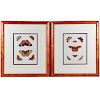 A pair of 19th century colored prints of butterflies.