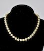 18K Yellow Gold Clasp & Pearls Choker / Necklace