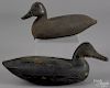 Two New Jersey carved and painted black duck decoy, mid 20th c., 15'' l.