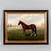 William C. Van Zandt (American, 1844-after 1860)  Portrait of a Brown Horse