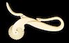WHALEMAN MADE WHALE IVORY AND WHALEBONE PIE CRIMPER