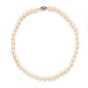 A 14 Karat White Gold and Cultured Pearl Strand Necklace,