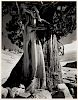 Edward Weston
(American, 1886-1958)
Juniper at La