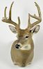 Taxidermy shoulder mount of a ten-point whitetail deer with the antlers still in velvet, 37'' h.