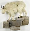 Taxidermy full-body mount of a mountain goat on a decorative hanging faux-stone formation, 65'' h.