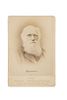 Barraud, Herbert Rose. Retrato de Charles Darwin. London, ca., 1882. Tarjeta gabinete, fotografía en albúmina, 13.8 x 10.2 cm.