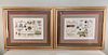 Two Framed Hand Colored Engravings by Scattaglia