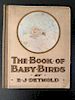 The Book of Baby Birds by E. J. Detmold