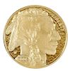 2006-W Gold Proof Buffalo One-Ounce Coin