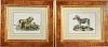 German African Animals Colored Lithographs, Two