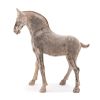 A Pottery Figure of a Horse
Height 16 in., 41 cm.
