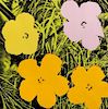 Andy Warhol, (American, 1928-1987), Flowers I, 1970