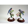 ROYAL WORCESTER BLUEBIRDS AND APPLE BLOSSOM, PAIR