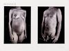 Chuck Close (American, b. 1940)    Untitled Diptych from the Portfolio Doctors of the World
