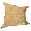 Early Northern Plains / Upper Missouri Decorated Buffalo Hide Robe