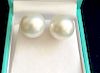 Fine 14mm White South Sea Pearl Earrings