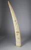 Scrimshaw Walrus Tusk, circa 1870 Engraved with Ballerina and Classical Greek Woman
