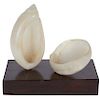 Mid-Century Carved Alabaster Shell-Form Sculpture