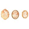 Three Antique Shell Cameo Brooches
