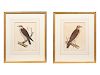 A Set of Six Hand-Colored Pacific Raiload Survey Falcon Engravings