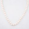 Collar con 65 perlas cultivadas color crema de 8 mm. Broche con 9 rubíes corte redondo. Peso: 54.2 g.