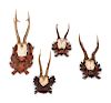 Group of Four Black Forest Carved Wood Antler Mounts
largest overall length 18 1/2 inches