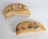 Two Scrimshaw Tooth Carvings - "Harriet Lane", Oth