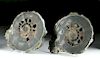 Lot of 2 Fossilized Russian Ammonites