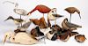 Twelve carved and painted shorebird decoys