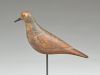 Plover from Seaford, Long Island, New York, last quarter 19th century.