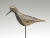 Exceptional black bellied plover, Obediah Verity, Seaford, Long, Island, New York, 3rd quarter 19th century.