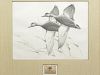 1940 Federal duck stamp print, Francis Lee Jaques.