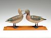 Full size standing greenwing teal pair, Lloyd Sterling, Crisfield, Maryland, 1st quarter 20th century.