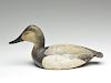 Canvasback hen from the Glenn L. Martin rig, Ward Brothers, Crisfield, Maryland, circa 1932.