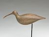 Curlew from the Eastern Shore of Virginia, last quarter 19th century.