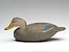 Important cottonwood black duck with turned tail, Ira Hudson, Chincoteague, Virginia, circa 1930s.