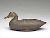 Black duck made from cotton wood, Chincoteague, Virginia.