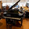 Steinway & Sons Grand Piano Model #101600, Model A