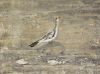 Tadashi Motomura. Signed Oil On Canvas Seagulls.