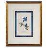 John James Audubon. "Common Blue Bird"