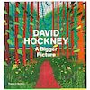 David Hockney - A Bigger Picture