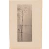 Alfred Stieglitz, "Spring Showers, New York", 1900