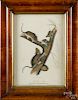 Color lithograph of a crane, 9 3/4'' x 7'', together with the Florida Rat, after Audubon, 9'' x 6''.