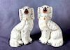 Pair of Staffordshire Spaniel Dogs