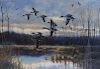 Gregory F Messier.Sgd  Watercolor Ducks in Flight
