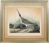 John James Audubon, "Great Esquimaux Curlew" #237