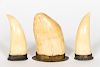Three Whale & Walrus Teeth with Metal Mounts
