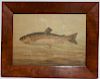 Am Sch, 19th c., Speckled Trout, W/C, Unsigned